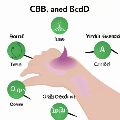 5 Different Areas on the Body to Apply CBD Cream for Anxiety