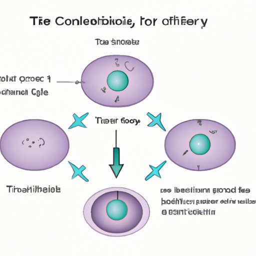 IV. The Three Major Components of the Cell Theory: An Overview