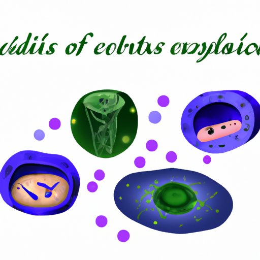 VI. Inside the World of Cells: Exploring the Structures Found in Prokaryotes and Eukaryotes