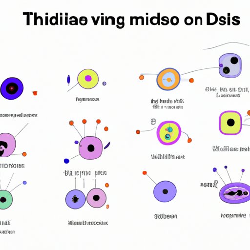 A Comprehensive Guide: Diving into the Cell Types Produced by Mitosis