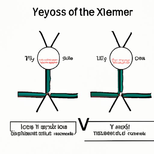 VII. The XY vs. XX Debate: Understanding the Complexity of Female Chromosomes