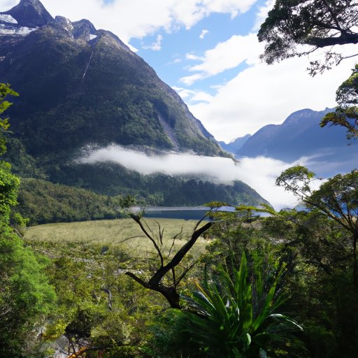 Through the Eyes of a Traveler: Hiking the Milford Track in New Zealand and the Lessons Learned