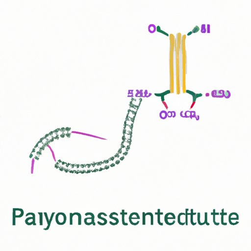 The Pancreatic Polypeptide: Understanding How Somatostatin Helps Digestion