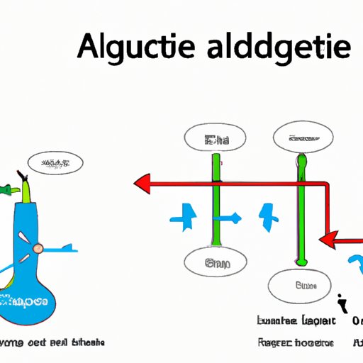 VII. The Connection Between ATP Production and Glucose in the Process of Respiration