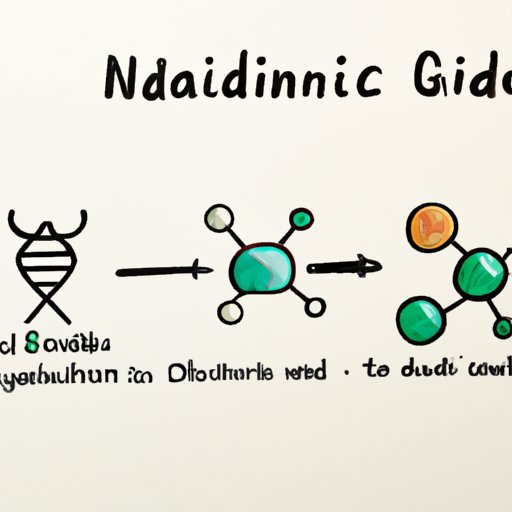 Nucleotides 101: Exploring the Fundamentals of These Vital Molecules