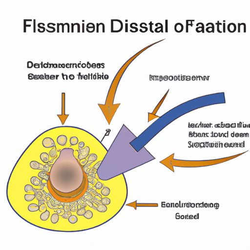  Facilitated Diffusion: A Crucial Process for Maintaining Cellular Homeostasis 