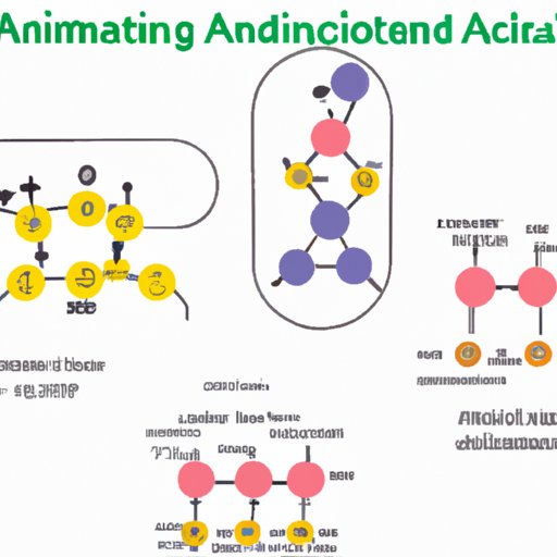 II. Understanding the Structure of Amino Compounds: Identifying the Amino Group