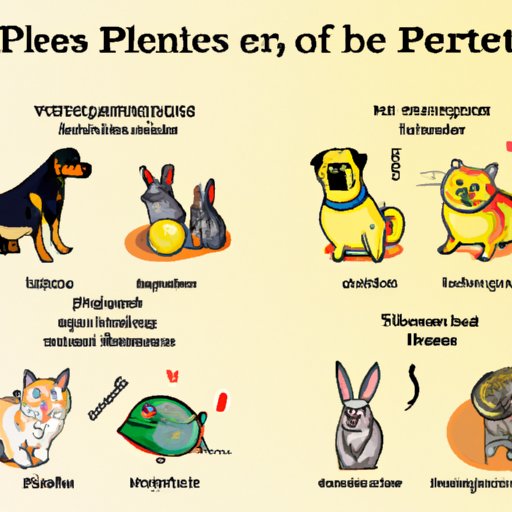 The Pros and Cons of Different Types of Pets