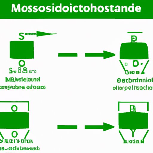 The Importance of Modified Monosaccharides in the Composition of a Specific Polysaccharide