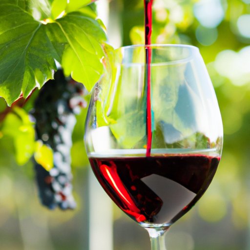 From Port to Zinfandel: A Comprehensive List of Sweet Red Wine Varieties