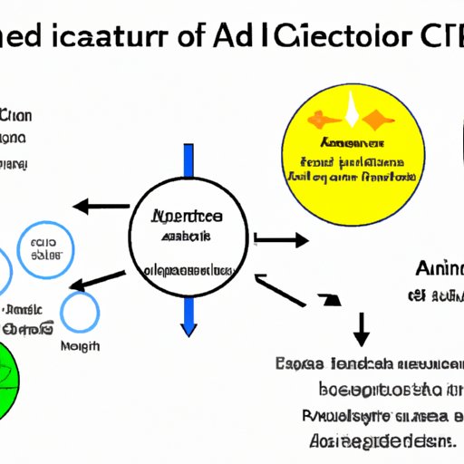 III. Unlocking the Power of Citric Acid Cycle: Understanding Its Role in Cellular Respiration