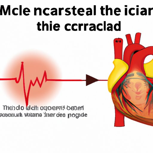 The Real Story Behind the Composition of Cardiac Muscle