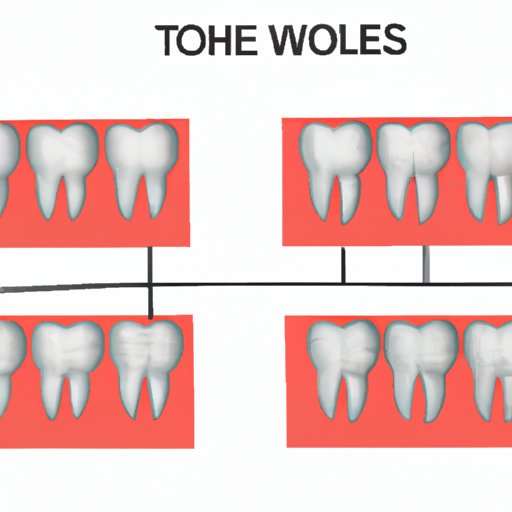 VII. The Basics of Molars: What They Are and How They Work