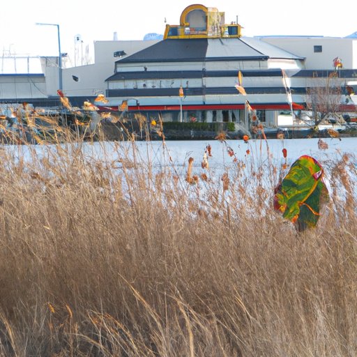 The Elusive Owners of Legends Bay Casino: An Investigation