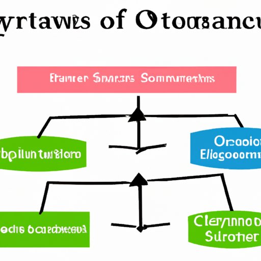Comparative Analysis of Ownership Structures