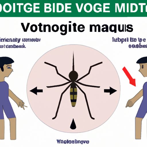 V. Understanding and Treating Mosquito Bite Symptoms