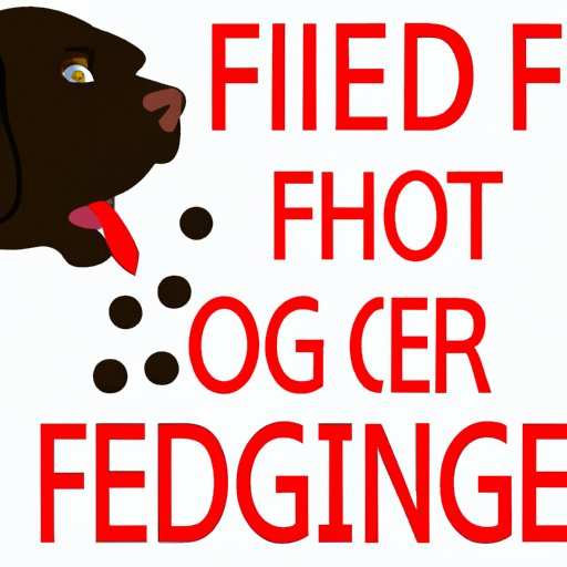 V. The Consequences of Feeding Your Dog Chocolate: A Warning