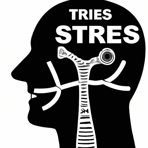 VI. The Relationship Between Stress and Nasal Breathing Issues