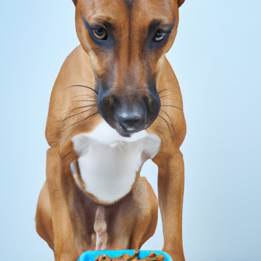  VII. From Instinct to Nutrition: Decoding the Reasons Behind Dogs Eating Their Vomit 