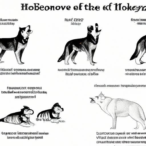 The History of Husky Howling: Tracing the Evolutionary Purpose of the Howl