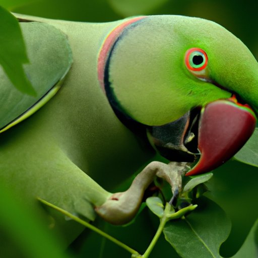 Unlocking the Secrets of Parrot Mimicry: A Scientific Approach