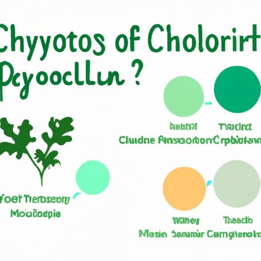 Chlorophyll and You: A Guide to the Basics of Plant Pigments