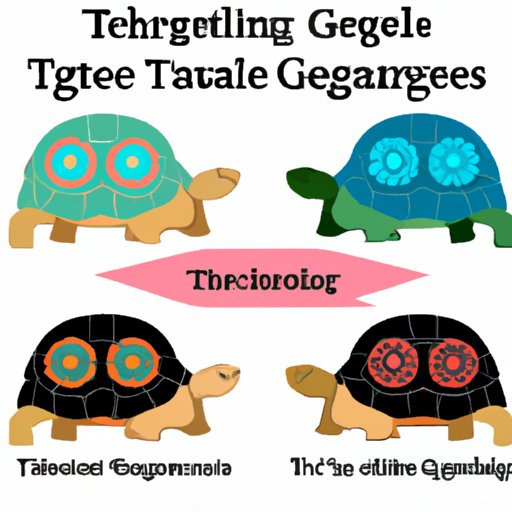 The Tortoise and the Ageless: Understanding the Genetics of Longevity