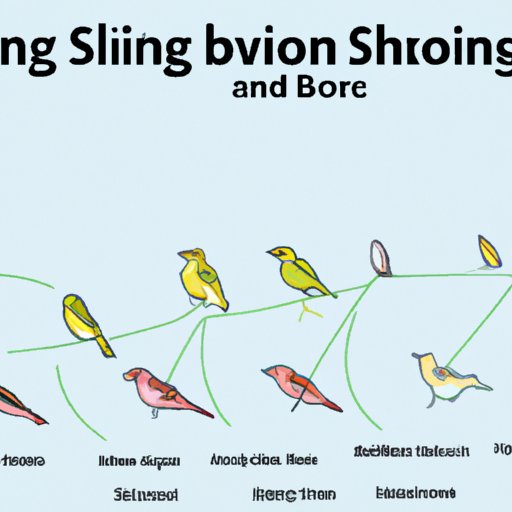 The Evolution of Birdsong: How Songs Vary Across Species and Over Time