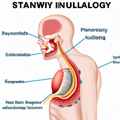 Understanding the Anatomy Behind Painful Swallowing: A Complete Guide