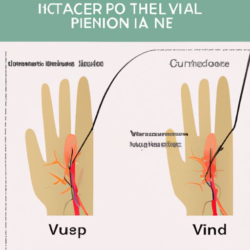 VI. The Role of Nerves and Sensations in Paper Cut Pain