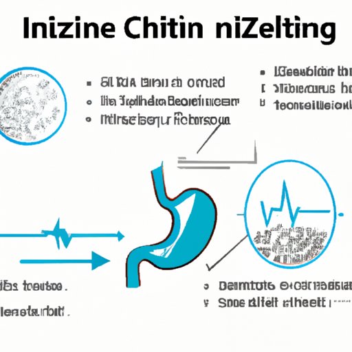 III. Zinc Intake and its Effect on the Stomach: A Scientific Perspective