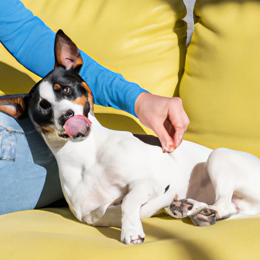 Home Remedies to Soothe a Panting and Restless Dog