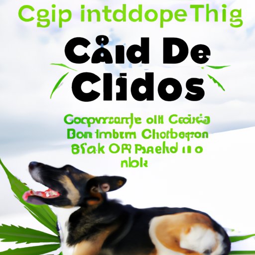 Benefits of CBD for Dogs