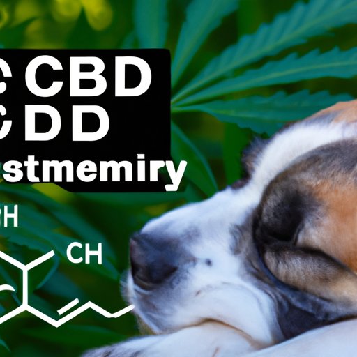 Dosage and Administration of CBD for Dog Sleep: What You Need to Know