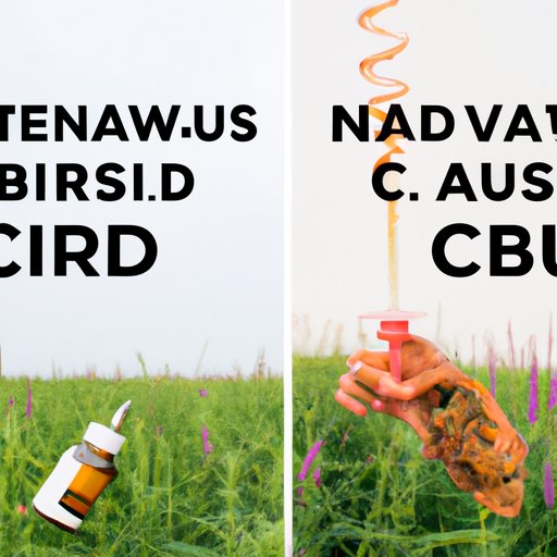 CBD vs Traditional Nausea and Vomiting Remedies: A Comprehensive Comparison