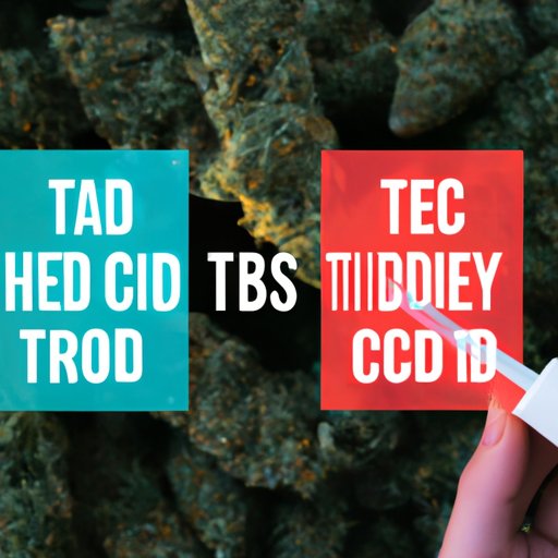 CBD vs THC: Understanding the Differences and Potential Drug Testing Risks of Full Spectrum CBD