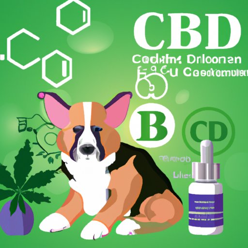 Can a Dog Have a Bad Reaction to CBD? What Pet Owners Need to Know