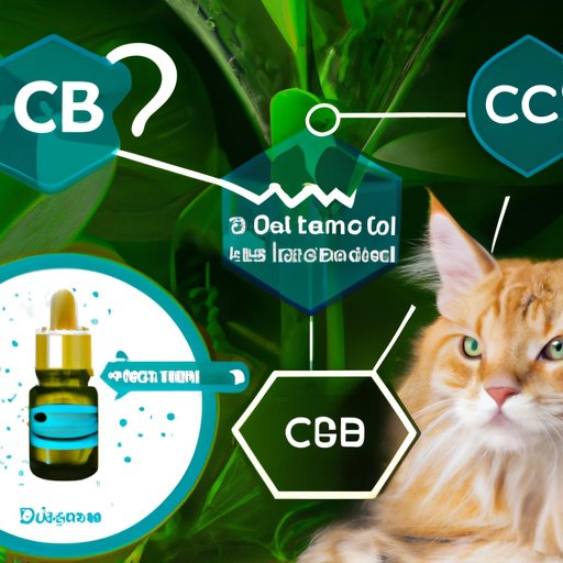 Can Cats Have CBD? Exploring the Safety and Benefits of CBD Oil for Felines