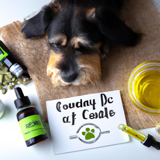 Can CBD Calm My Dog? Understanding the Science of CBD Oil for Pet Anxiety