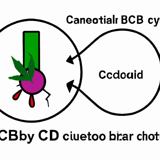 Can CBD Cause Blood in Stool? Understanding the Risks and Solutions