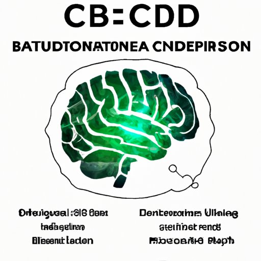 Can CBD Cause Brain Fog? Exploring the Potential Effects of CBD on Cognitive Function