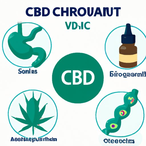 Can CBD Cause Stomach Problems? Understanding the Risks and Solutions