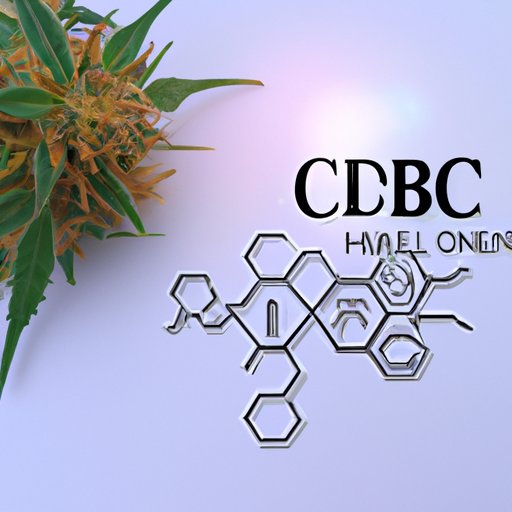 Can CBD Get Me High? Separating Fact from Fiction