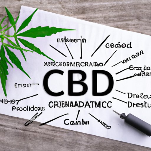 Can CBD Get You High? Breaking Down Myths and Facts
