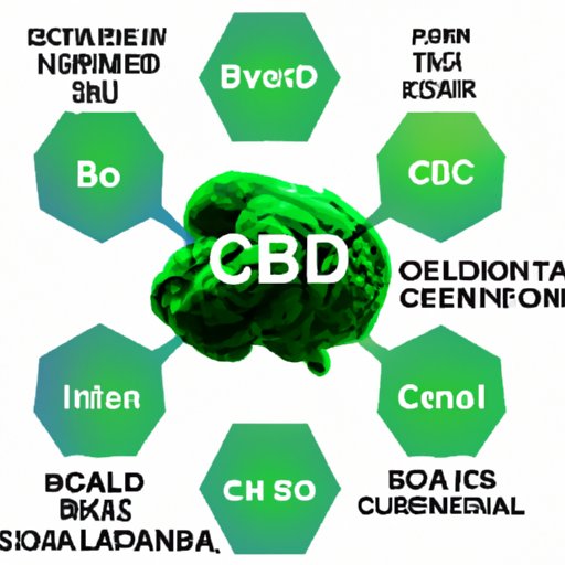 Can CBD Help with Brain Fog? Understanding its Potential as a Cognitive Enhancer