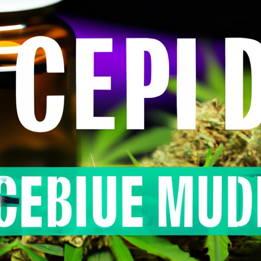 Can CBD Help with Seizures? Exploring the Science, Personal Stories, and More