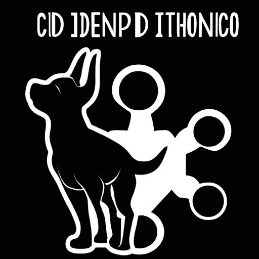 Can CBD Make Dogs Aggressive? Understanding the Risks and Benefits