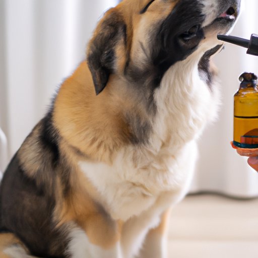 Can CBD Oil Help Dogs with Laryngeal Paralysis?
