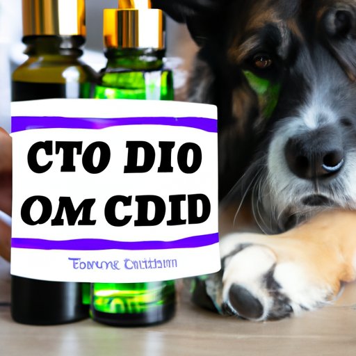 Can CBD Oil Shrink Tumors in Dogs? A Comprehensive Guide