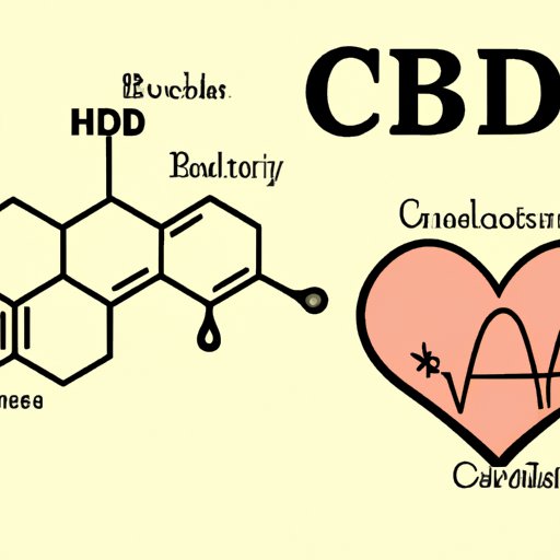The Truth About CBD and Heart Rate: Separating Fact from Fiction